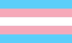 Drapeau de la fierté trans