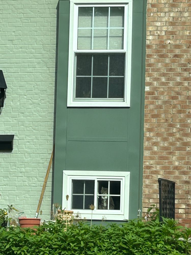A photo from outside of a house. Two cats sitting in separate windows, one in a higher floor than the other one. 