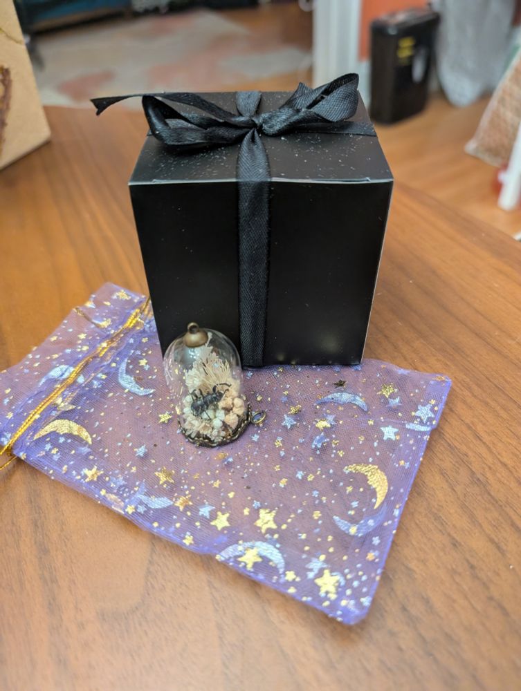Tiny terrarium with a black weevil atop off white shells and dried plants in a glass dome in front of a black gift box. Both on top of a purple chiffon bag printed with gold and silver moons and stars.