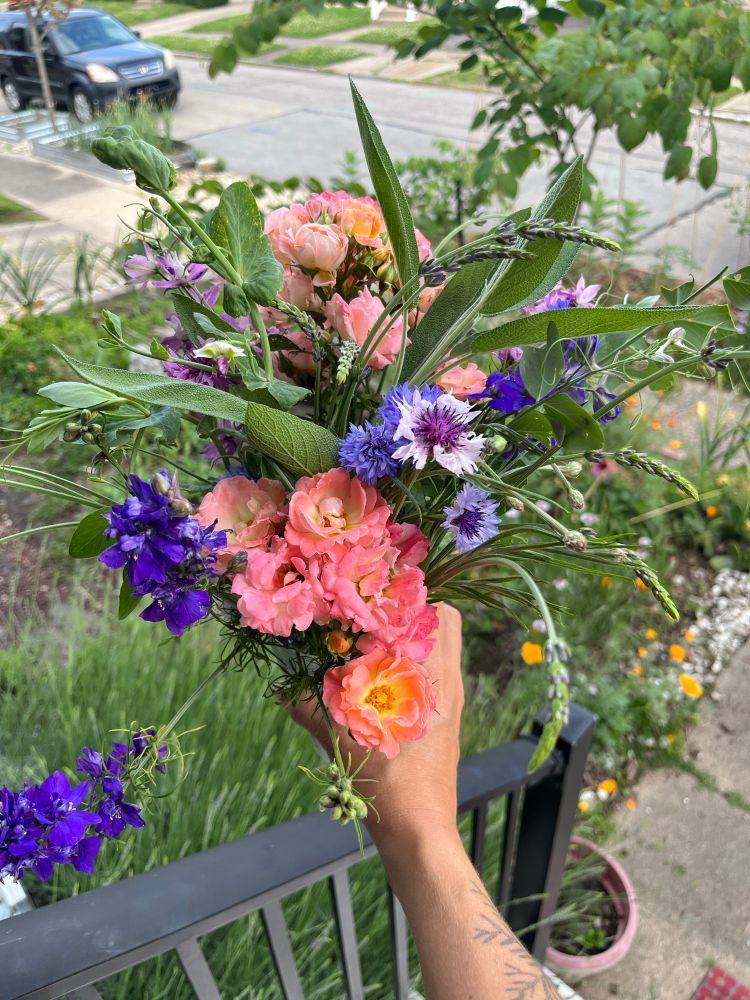 A bouquet of cut flowers and herbs including roses, sage, lavender, bachelor’s buttons, peas and one flower I can’t name that looks kind of like a snapdragon. 