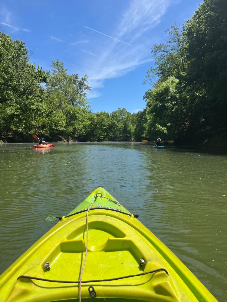 Three kayaks in a creek with blue skies
