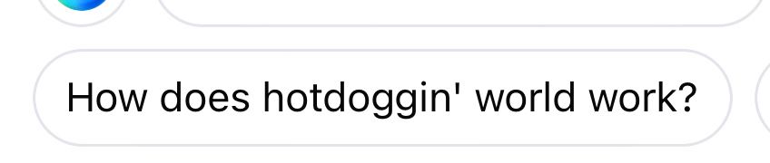 Screenshot from Facebook Meta AI suggesting “How does hotdoggin’ world work”
