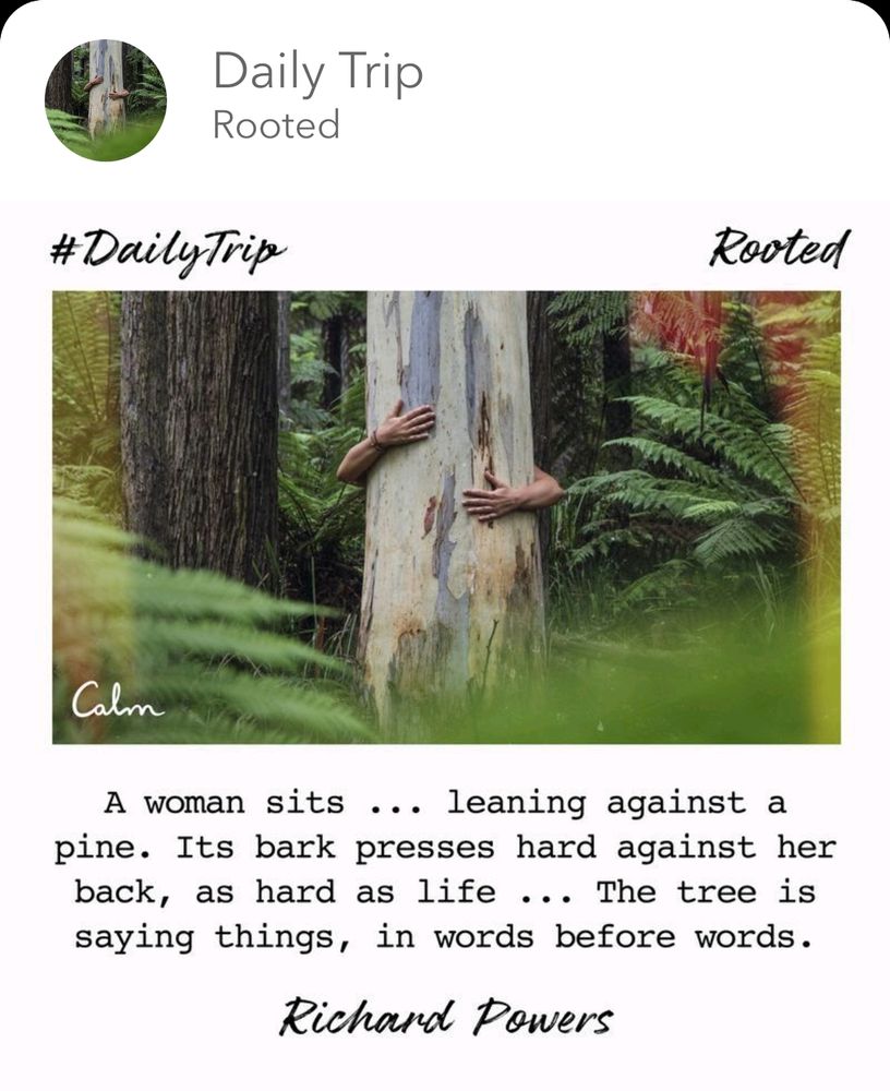 A person hugging a tree
