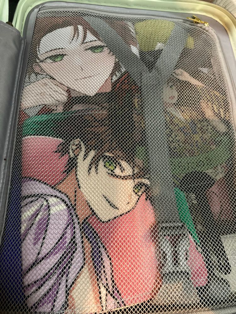 右下にはマリッジリングも入ってます。
左上は抱き枕カバーです。