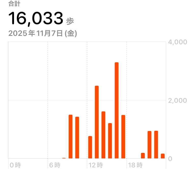 新潟遠征の日の徒歩数。
16,033歩。
新幹線に乗った10時半から12時までと公演が始まった18時からの2時間は空白。
わかりやすいね！