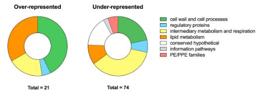 Functional categories of genes for which interruption significantly alters Mtb fitness during acid growth. Pie charts representing the total hits (= 95) comprising 21 over-represented and 74 under-represented hits sorted by functional categories (color coding, see legend).