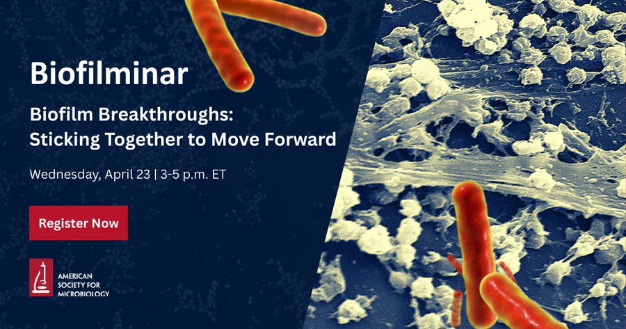 Biofilminar- Biofilm breakthroughs: sticking together to move forward. Wednesday, April 23, 3-5 p.m. ET. Register now.