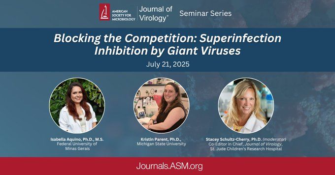 Journal of Virology Seminar Series
Blocking the Competition: Superinfection Inhibition by Giant Viruses
July 21, 2025
Isabella Aquino, Ph.D., M.S.Federal University of Minas Gerais
Kristin Parent, Ph.D., Michigan State University
Stacey Schultz-Cherry, Ph.D. (moderator), Co-Editor in Chief, Journal of Virology, St. Jude Children's Research Hospital
journals.asm.org