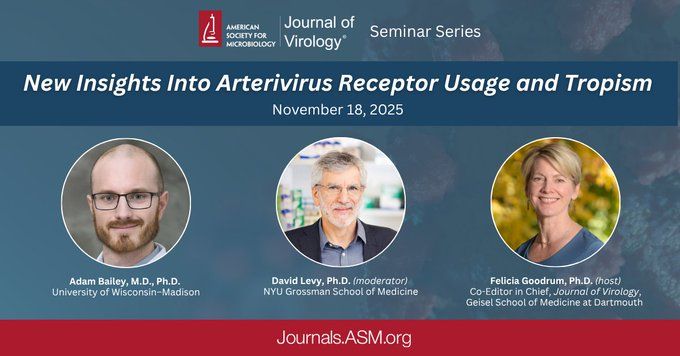 New Insights Into Arterivirus Receptor Usage and Tropism
November 18, 2025
Adam Bailey, M.D., Ph.D. 
University of Wisconsin–Madison
David Levy, Ph.D. (moderator) 
NYU Grossman School of Medicine
Felicia Goodrum, Ph.D. (host)
Co-Editor in Chief, Journal of Virology,
Geisel School of Medicine at Dartmouth 