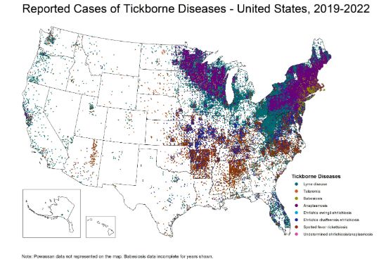 Centers for Disease Control and Prevention (CDC). Reported cases of tick-borne diseases in the US from 2019 to 2022.
