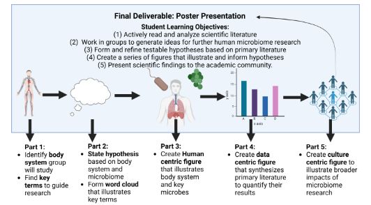 Overview of semester-long meta-analysis (MA) assignment. 