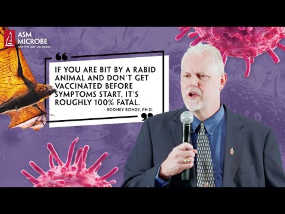 Bats Are a Bigger Rabies Threat Than You Think