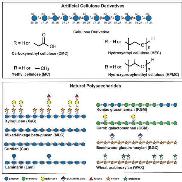 Artificial cellulose derivatives and natural plant polysaccharides. Monosaccharides and linkages are represented using the Symbol Nomenclature for Glycans