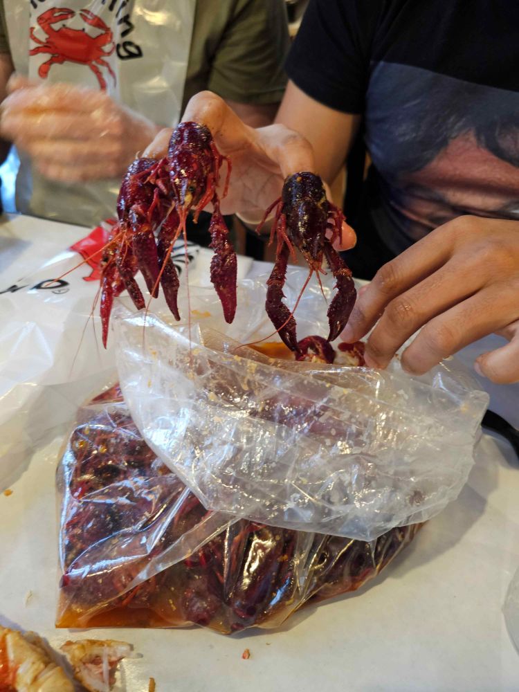 Gappyv crawfish 