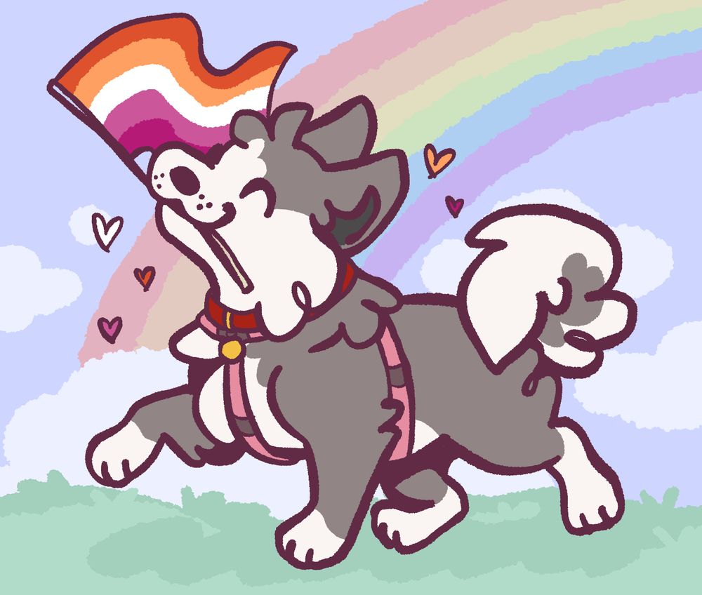 A happy, four legged, grey and white wolf husky mix wearing a red collar and a pink sled dog harness, holding a lesbian flag in their mouth in front of a nature background! A rainbow can be seen in the sky behind them! 