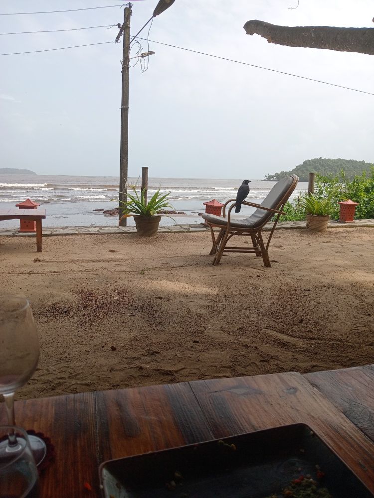 A crow seated on a cane chair. Behind, the sea. In front, bits of my table.