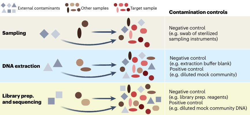 A figure from the paper showing how contamination can appear in microbiome data during sampling, DNA extraction, and Library preparation and sequencing steps. 