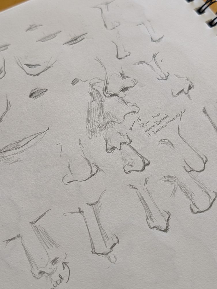 Nose and lip practice sketches. Some different size and variety of noses and lips in a simplified anime esque artstyle.