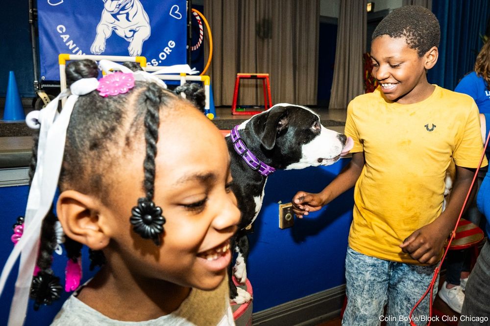 Darion Person pets Bobbie the pitbull during a Canines 4 Kindness demonstration at Laura S. Ward Elementary School, 646 N. Lawndale Ave., in East Garfield Park on April 22, 2025.
