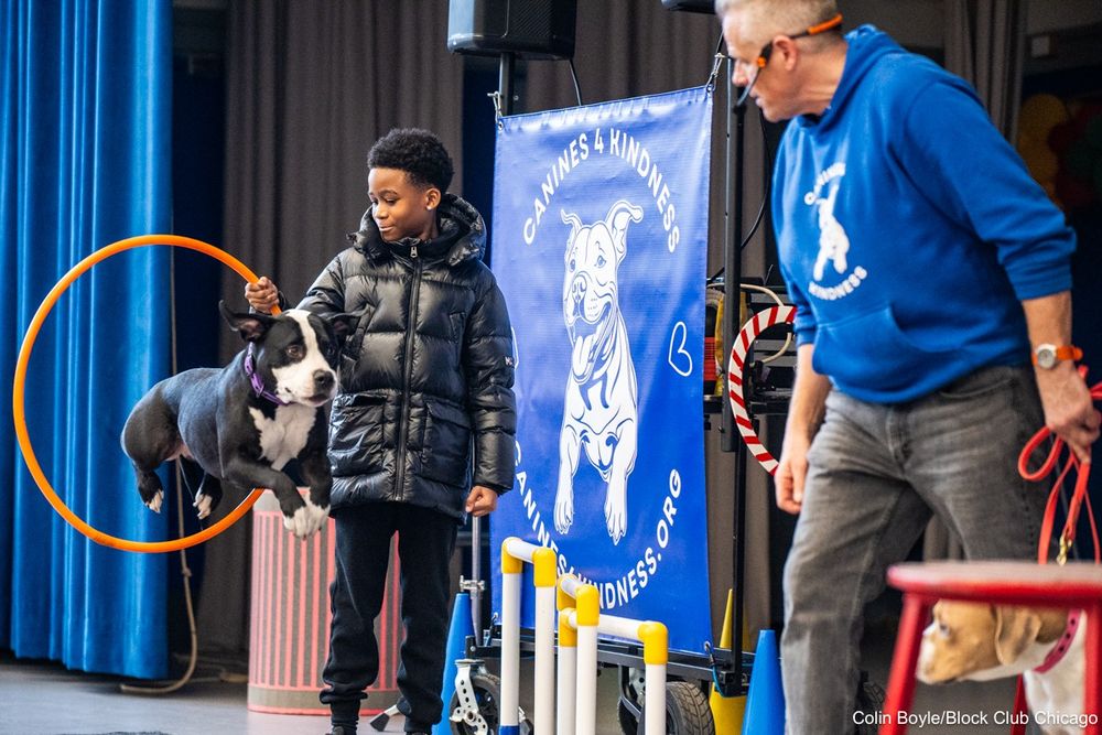 Amarion Champ, a fifth grade student, holds the hoop while Jeff Jenkins performs with pitbulls Rickie and Bobbie during a Canines 4 Kindness demonstration at Laura S. Ward Elementary School, 646 N. Lawndale Ave., in East Garfield Park on April 22, 2025. Credit: Colin Boyle/Block Club Chicago

