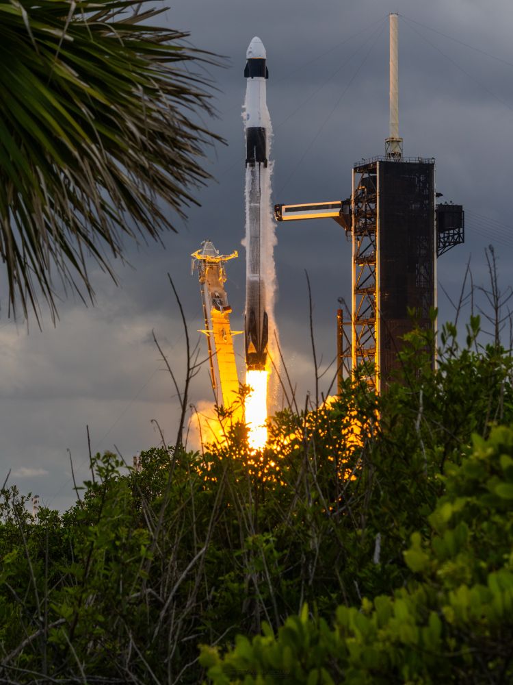 The Crew-11 Falcon 9 launch lifts off from Launch Complex 39, brush is visible below the rocket with the top of a palm tree in the top right of the frame. The Fixed Service Structure stands to the right of the rocket with the Crew Access Arm swinging away.
