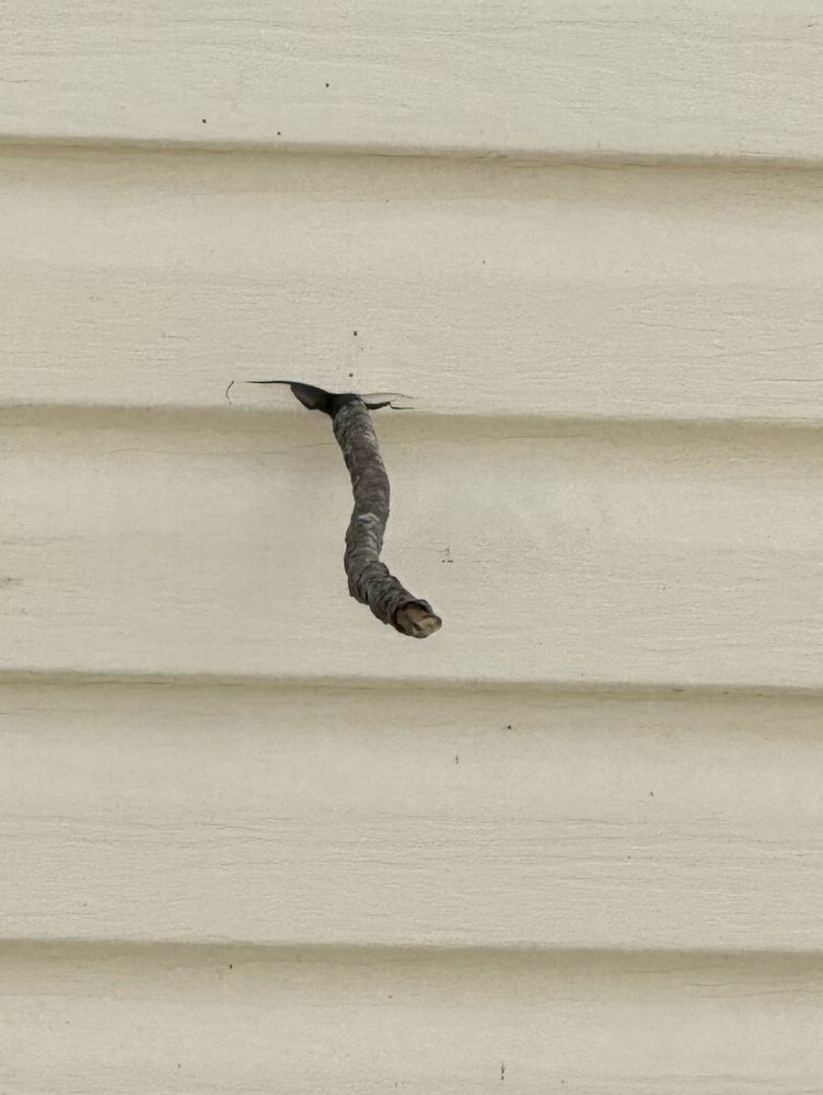 A close up shot of a large twig impaling pale yellow house siding. The damage to the siding is visible from the angle, however the size of the twig is downplayed by this angle