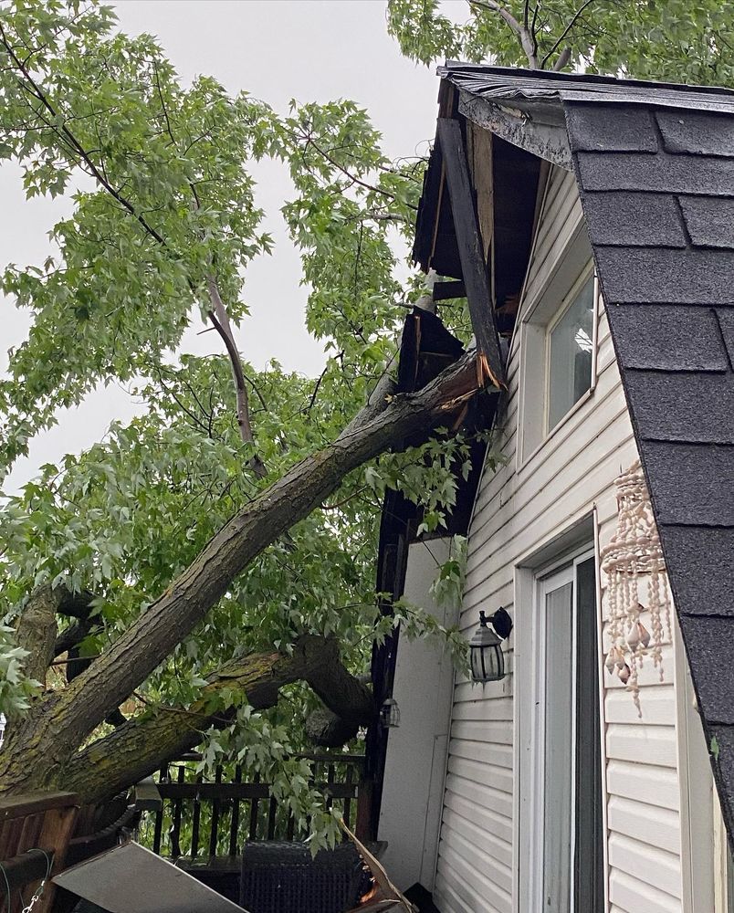 A massive tree limb is seen having broken through the roof and eaves of a house with white siding and charcoal shingles. The photo is taken from the perspective of the 3rd floor (top floor) patio