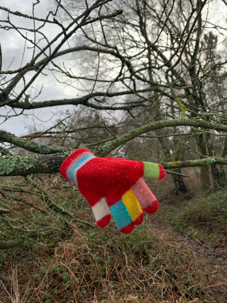A brightly coloured single glove hanging with cheerful defiance from the bare branch of a tree