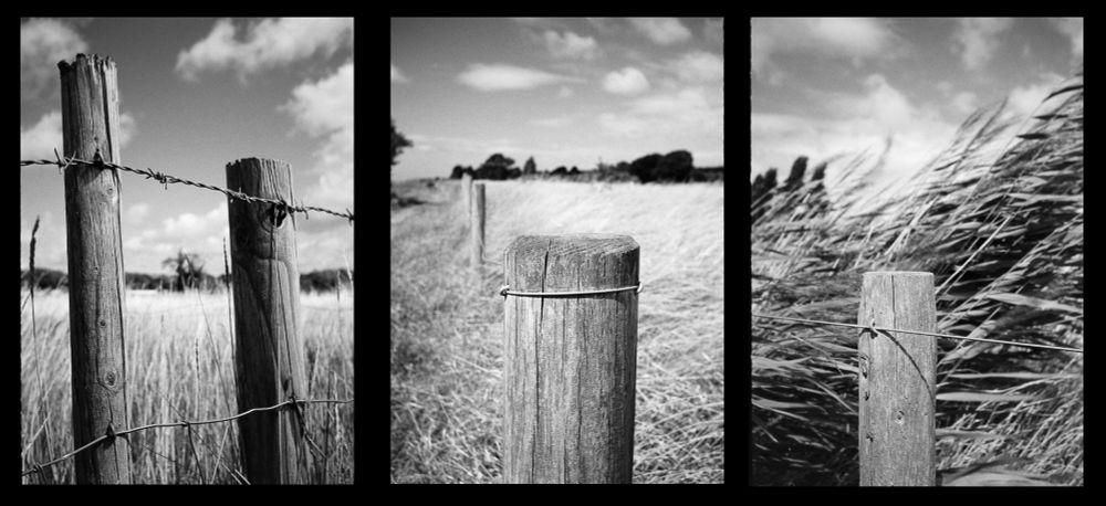 Three black and white photos in a series of post ends (as part of a fence), with sun dried and wind blown grasses in the background. 