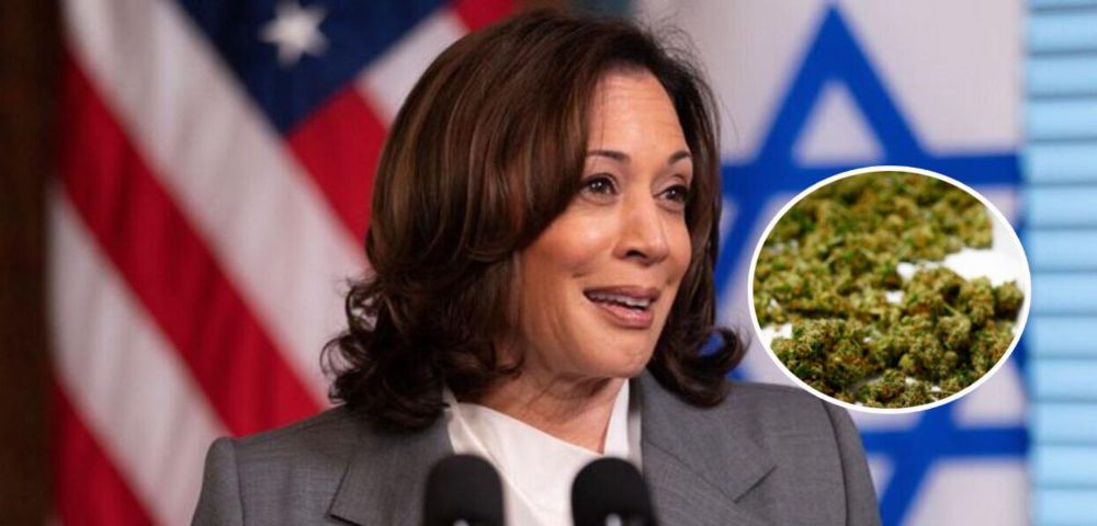 Kamala Harris afirma que apoia a legalização da maconha nos EUA