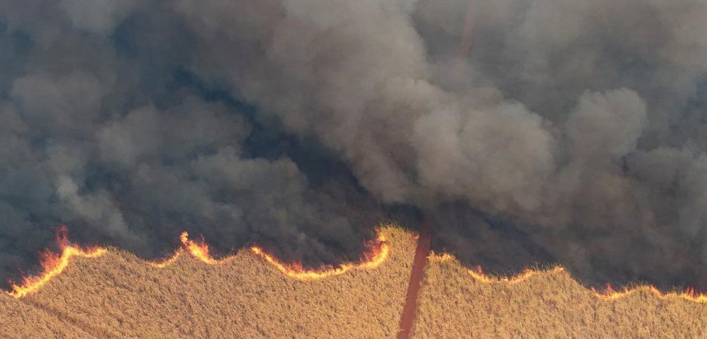 PF aponta indícios de "ações coordenadas" em incêndios florestais