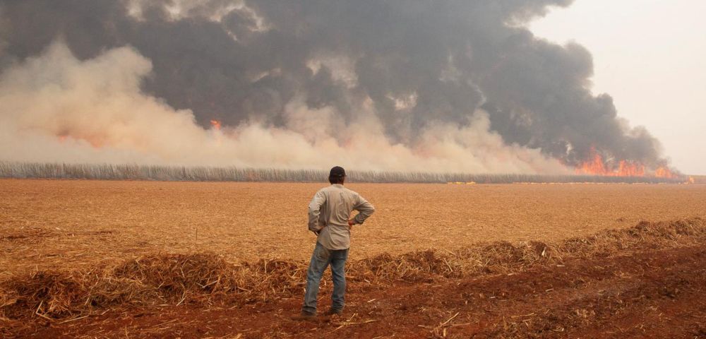 "O agronegócio é incêndio, é morte, é fome", alerta biólogo Luiz Fernando Padulla