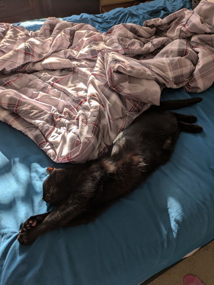 He is Handsome Obsidian, supercat. Our black cat is asleep stretched out and smiling and looks like he's flying like Superman 