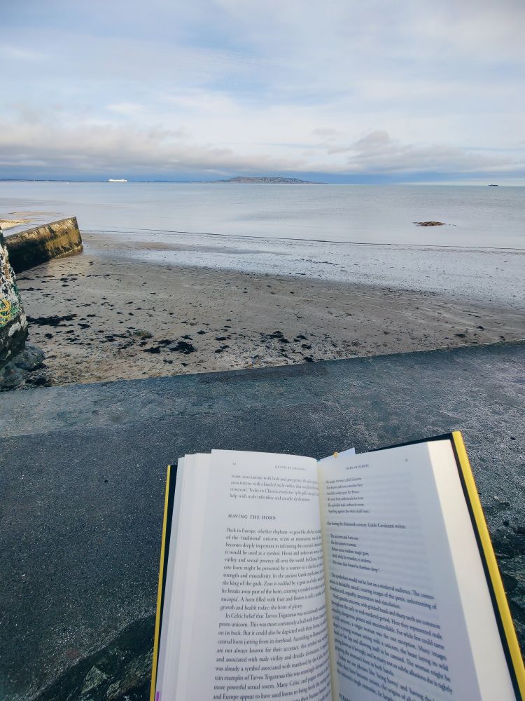 On the forefront of the photo, an book open to a section called "Queer be dragons". In the background, a paraphet before the sea coast and the sky full of clouds.