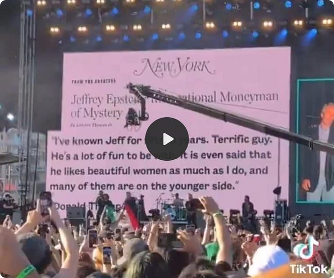 BREAKING: Dropkick Murphys just played this stunning montage of Donald Trump and Jeffrey Epstein at their concert. Retweet to make sure every American sees this.
