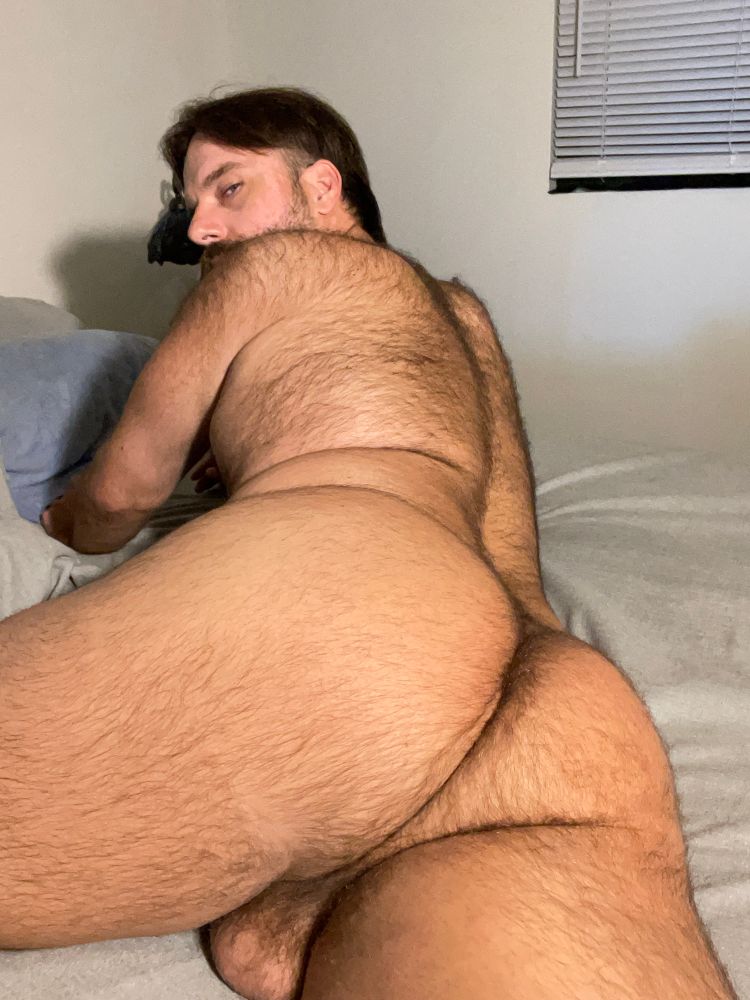 Hirsuit homosexual displays thick rear, eyeing the penetrator pleadingly.