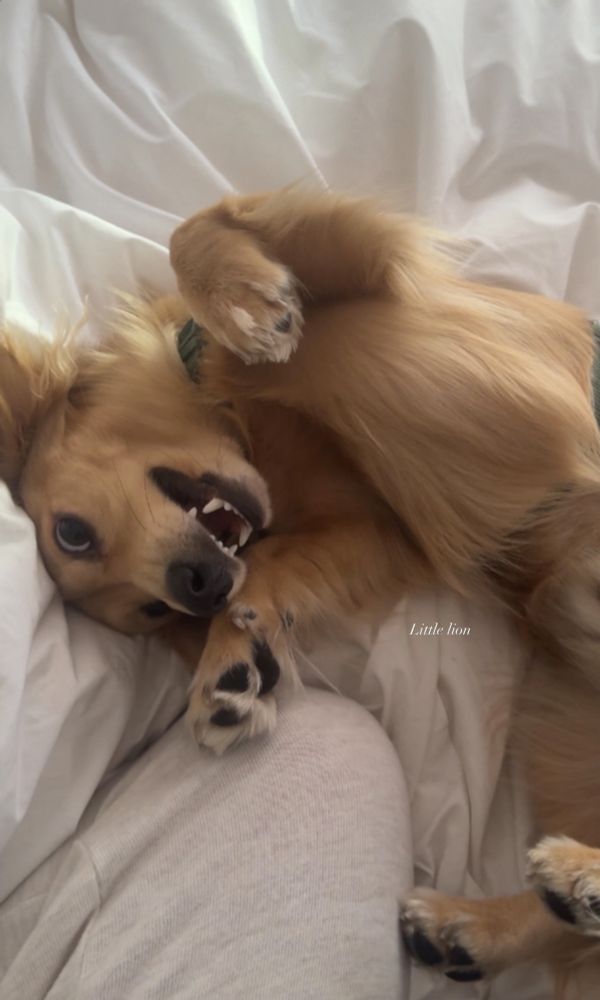 Leo being a menace