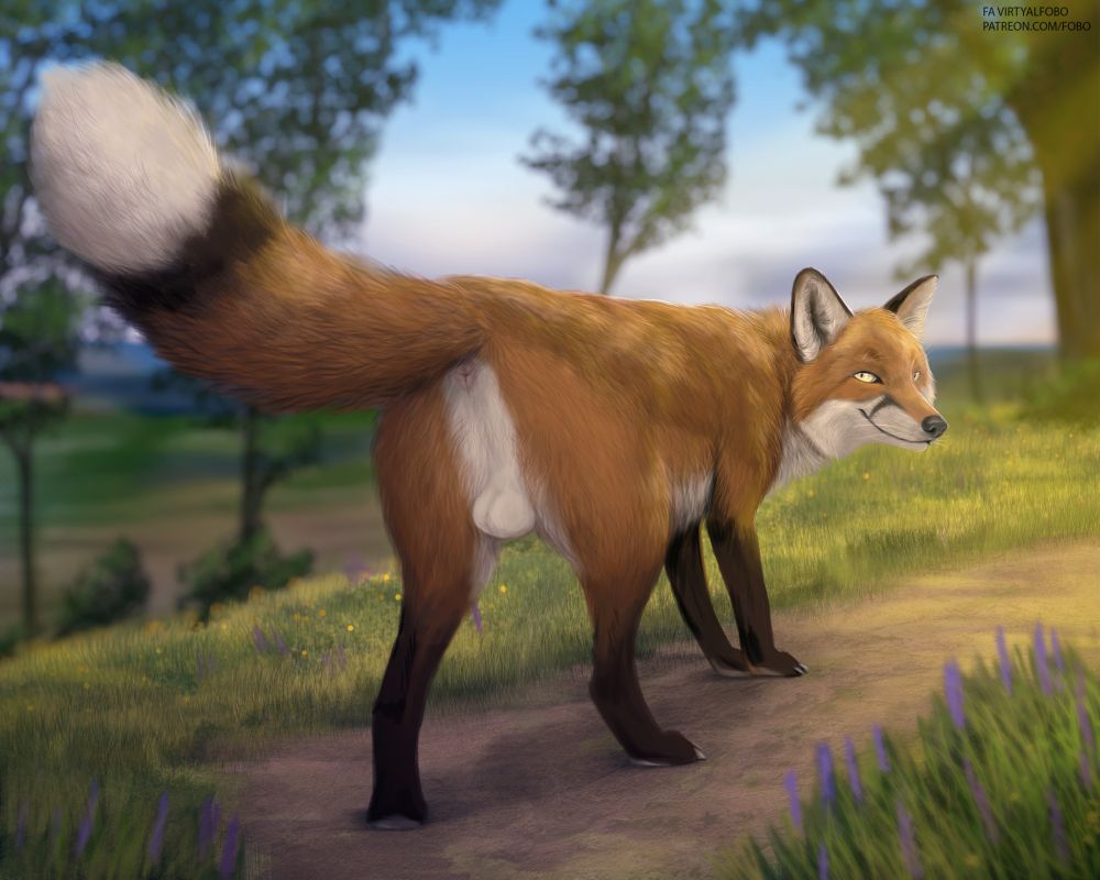 Furry drawing of me as a feral red fox walking in nature, trees in the background on a sunny day, while looking back at the pov of the viewer with a smirk, with my rear side being a focal point.