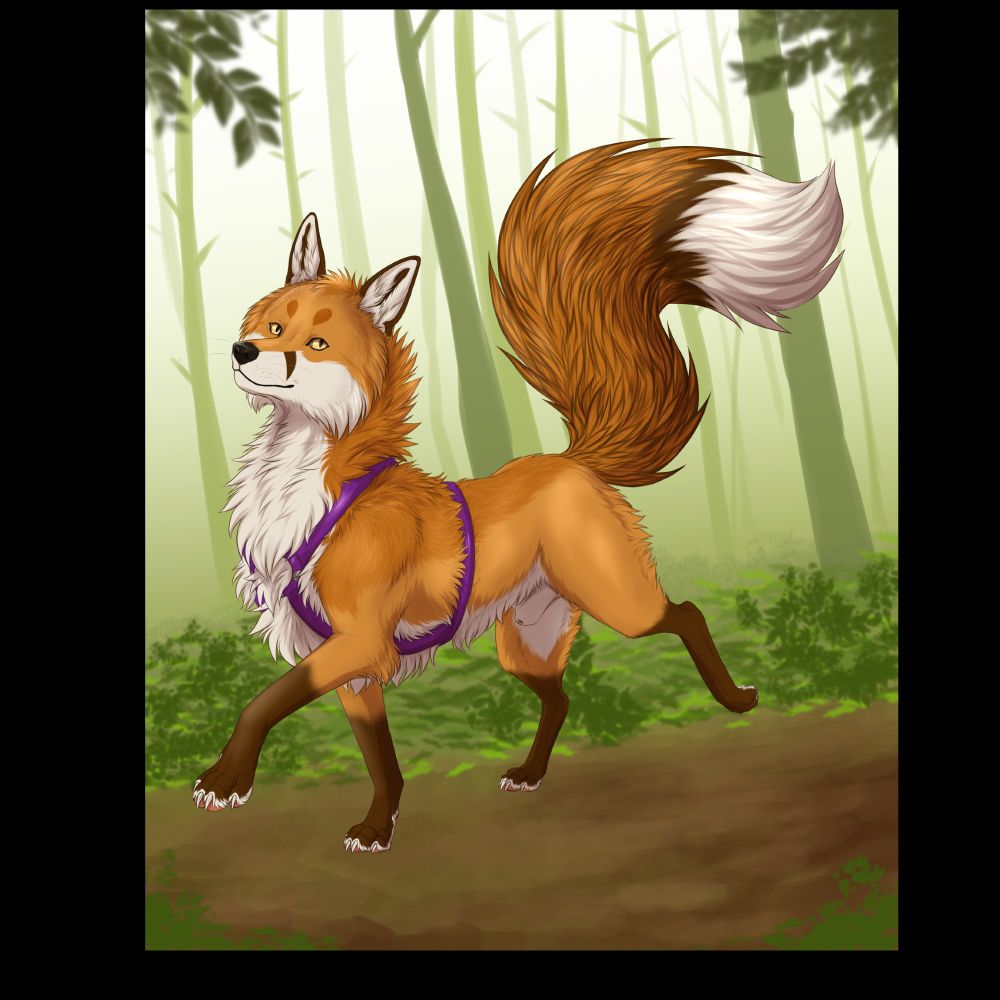 Feral artwork of me as a red fox walking myself with a harness on in a forest environment 
