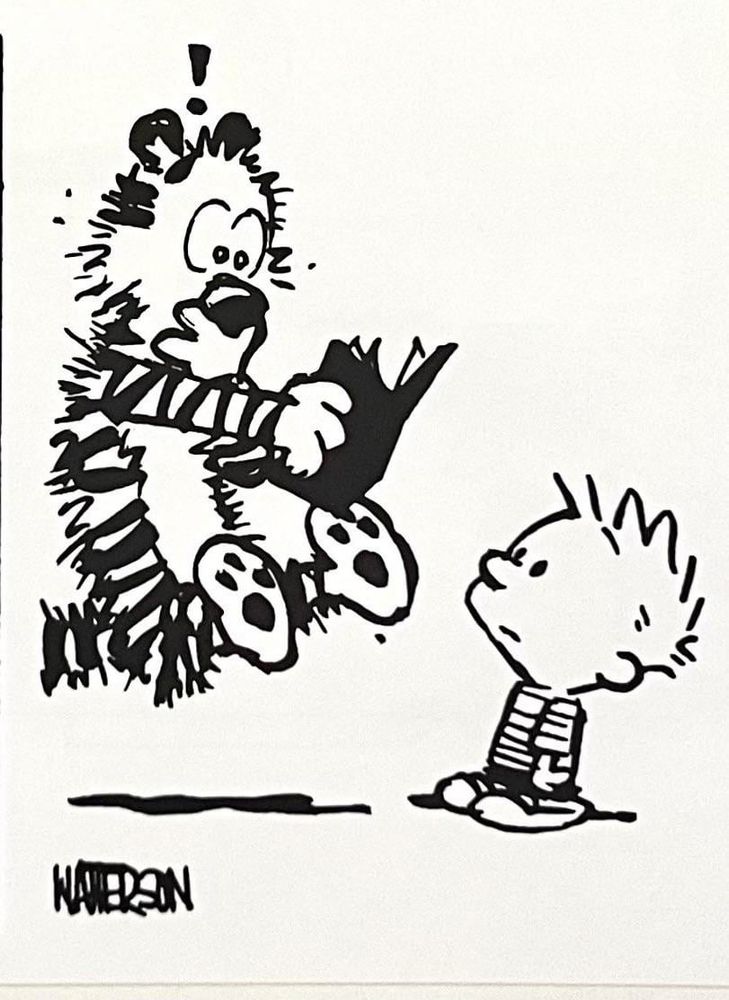 a panel from calvin and hobbes. hobbes is reading something in a book and has jumped up in the air in shock, his fur is bristled and there’s an exclamation point over his head. calvin is looking at him with a blank expression on his face