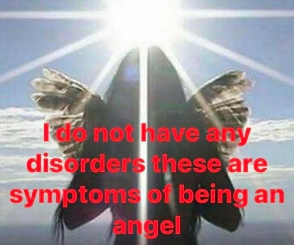 red bold text over an angel beneath a bright sun "i do not have any disorders these are symptoms of being an angel"