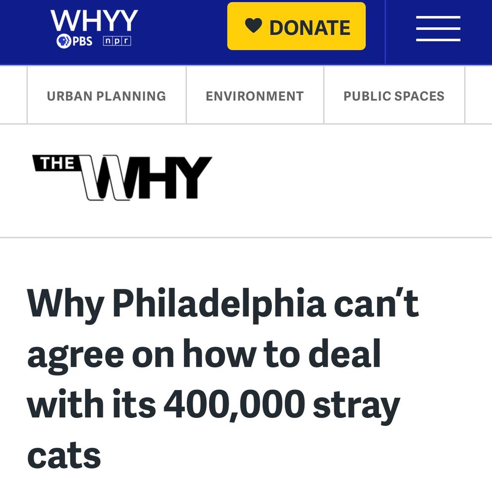 WHYY headline reads "Why Philadelphia can't agree on how to deal with its 400,000 stray cats"