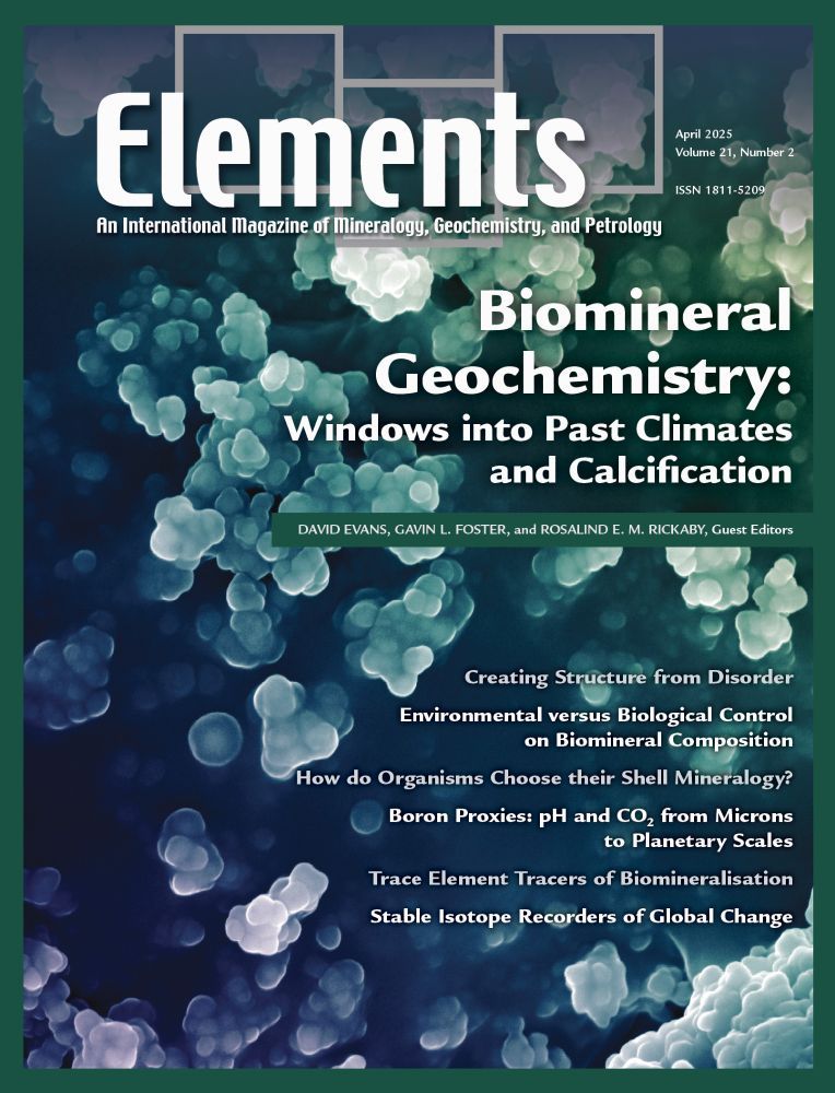 Cover of Elements Issue entitled Biomineral Geochemistry: Windows into Past Climates and Calcification.  The picture shows amorphous calcium carbonate particles - the precursors to many biominerals