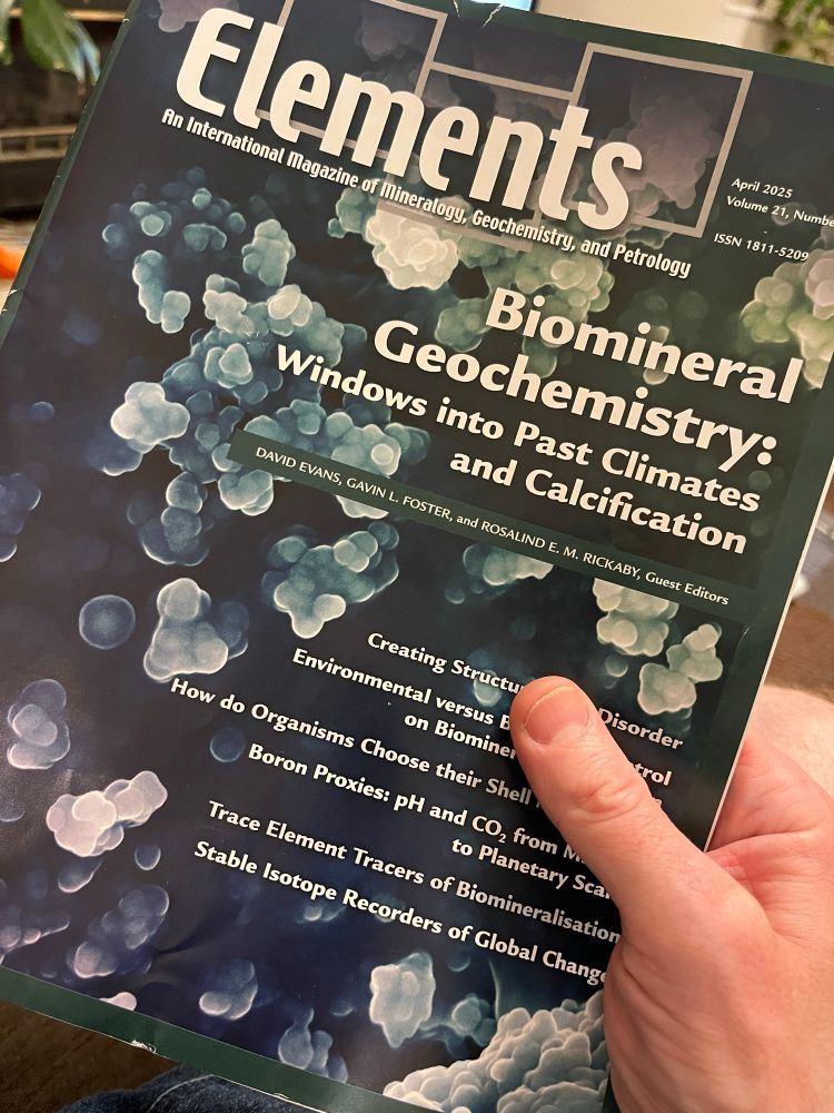 Cover of the latest issue of Elements Magazine called Biomineral Geochemisty: Windows into Past Climates and Calcification.  The cover shows a picture of small clusters of amorphous calcium carbonate