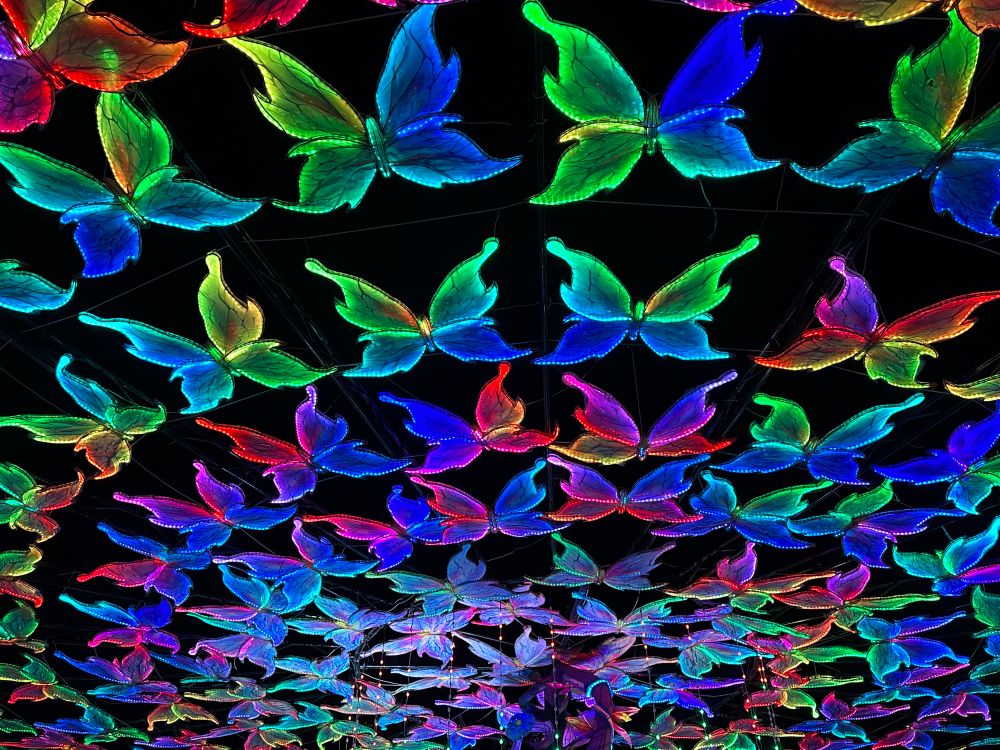 Light-up butterflies in a myriad of colors against a night sky. 