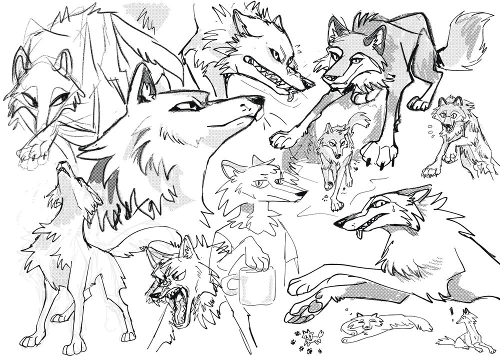 Many black and white drawings of wolves in varied poses and detail