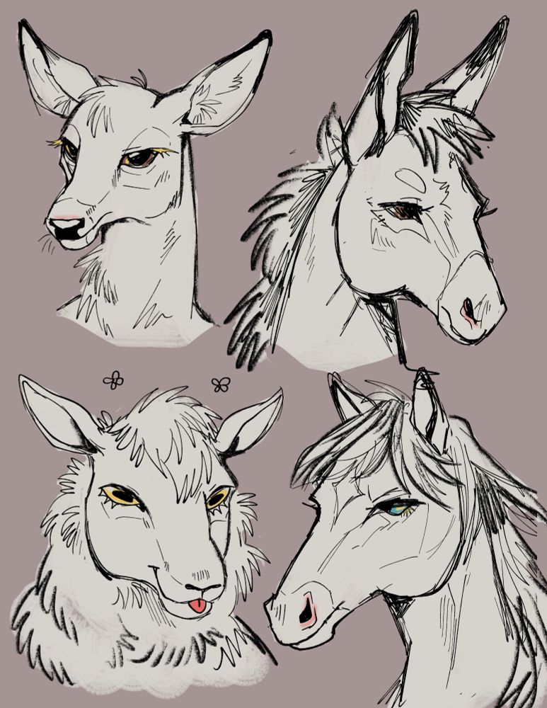 Four sketchy illustrations of ungulate headshots: deer, donkey, sheep and horse