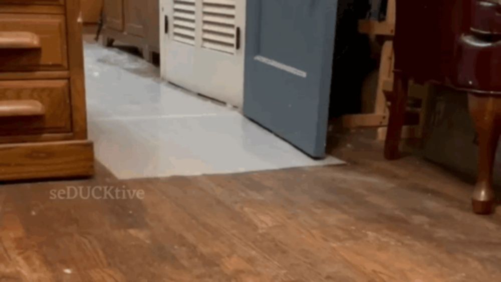 a wooden floor with seducktive written on the bottom right