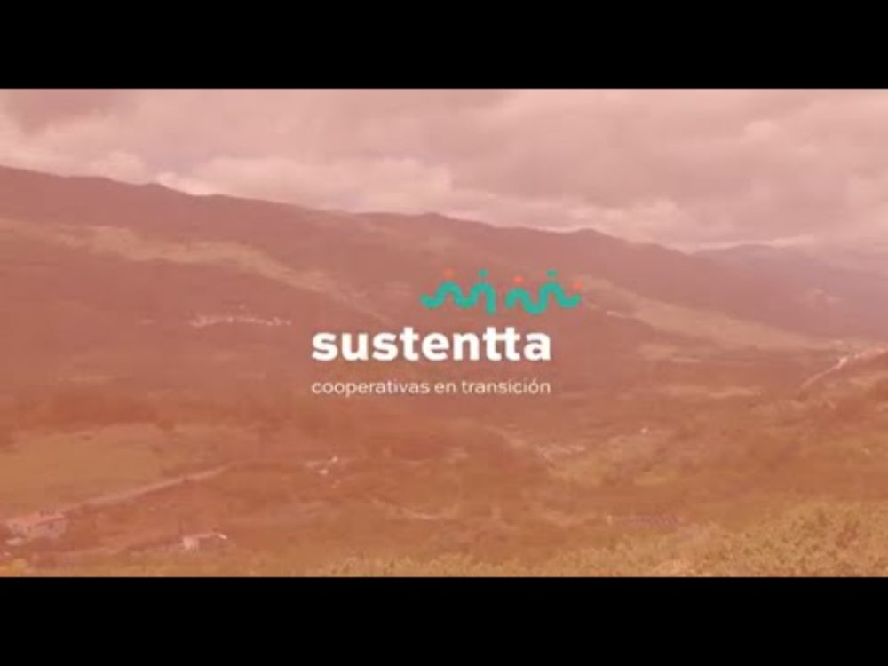 ¿Qué hemos hecho en la primera edición de #Sustentta para cooperativas agroalimentarias?