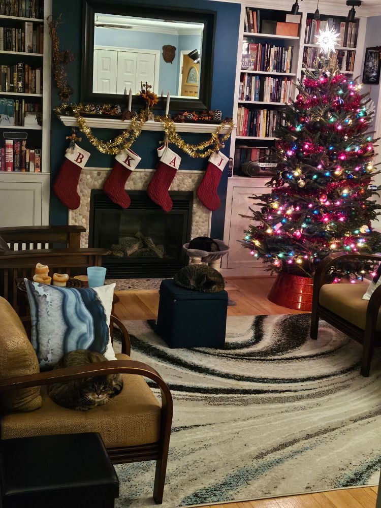 Mads, male brown tabby, is on a brown chair with a blue waved pillow in the sitting room. He is at the forefront. Next is Mandy, a smaller female brown tabby. She is sleeping on a blue ottoman. Finally, Matilda, all black female cat, is sleeping on a grey hammock. The cats are near a lit Christmas tree and there are stockings and garland hung above the brown fireplace. 